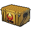 Case